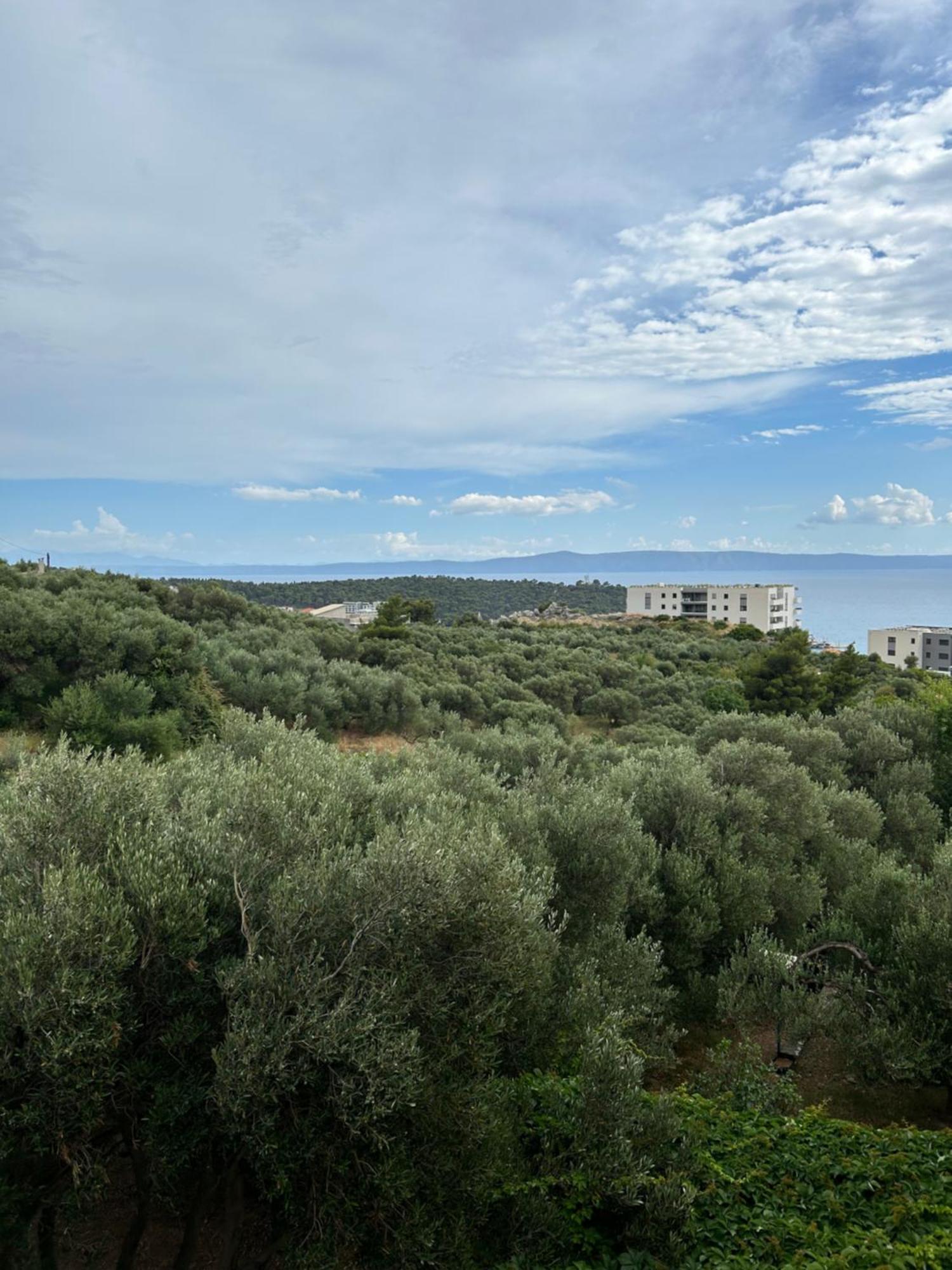 מאקרסקה Apartment Mileta מראה חיצוני תמונה