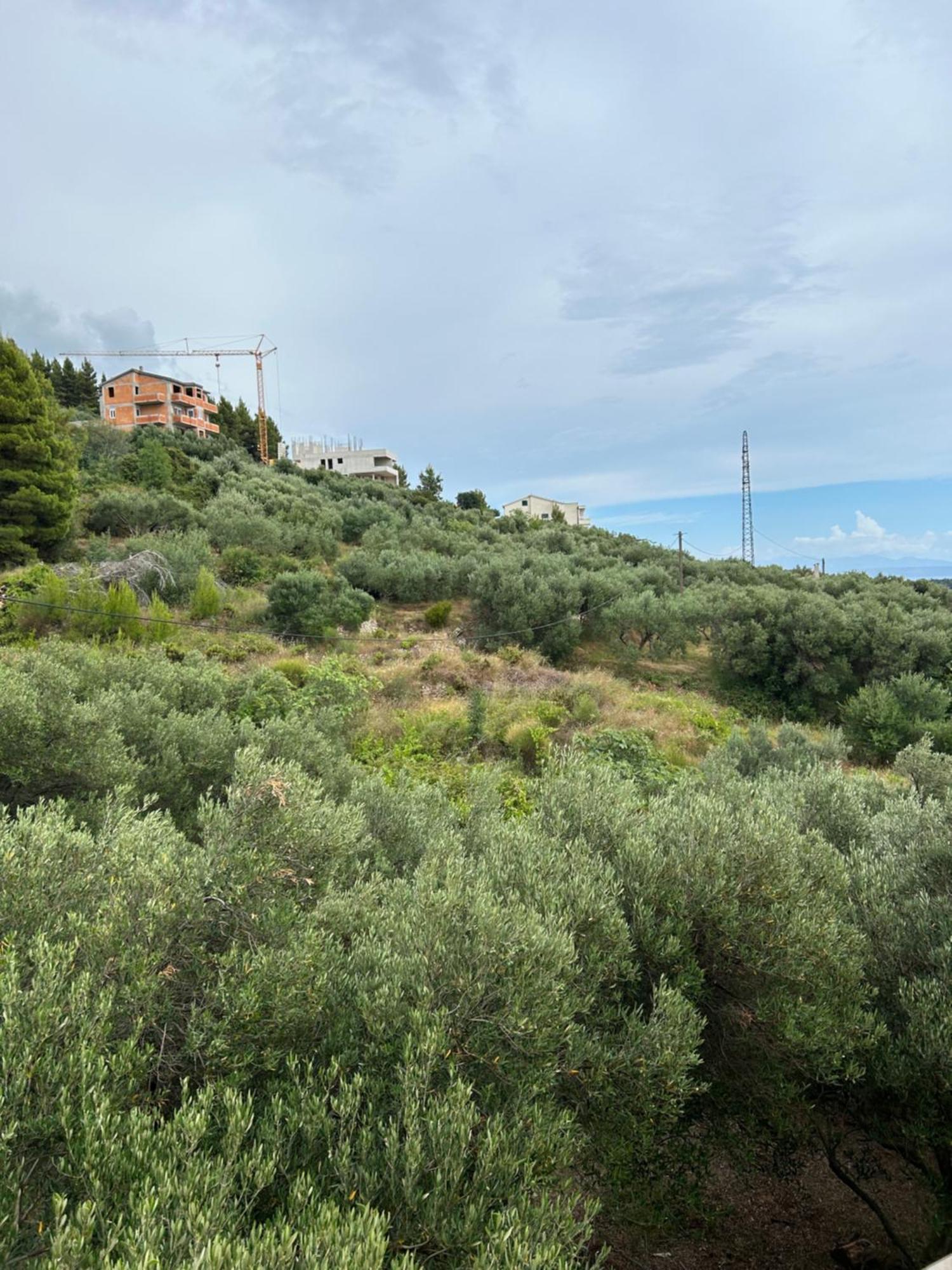 מאקרסקה Apartment Mileta מראה חיצוני תמונה
